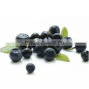 Pure Acai Organic Oil thumbnail-1