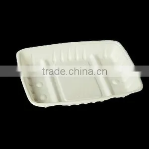 10" Paper Pulp/bagasse Tray thumbnail-1