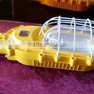 BFC8120 Explosion Proof Floodlight With Strong Light in Field (IIIC DIP) thumbnail-5
