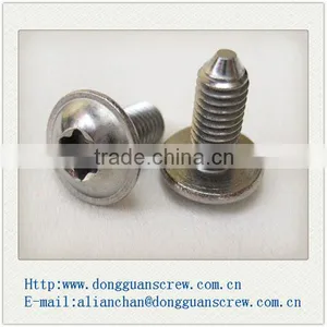 Dongguan Stainless Steel Pan Head Machine Screw thumbnail-6