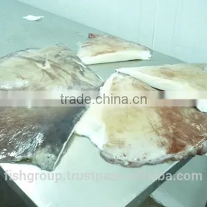 Giant Squid Wing thumbnail-5