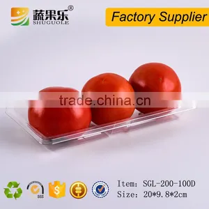 Disposable Plastic Food Packaging Tray thumbnail-2