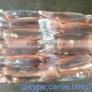 Chinese Illex Squid thumbnail-1