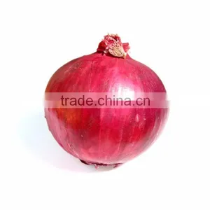 ONION-IN BULK thumbnail-2