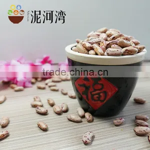 Light Speckled Kidney Bean 200-220pcs With Best Price thumbnail-2
