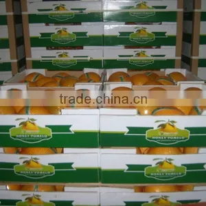 Pomelo Fruit for Pomelo Juice for Sale thumbnail-5