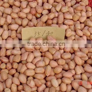 Peanut Kernel thumbnail-1