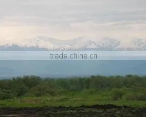 Aromaproduct Ltd company overview - view 3 thumbnail