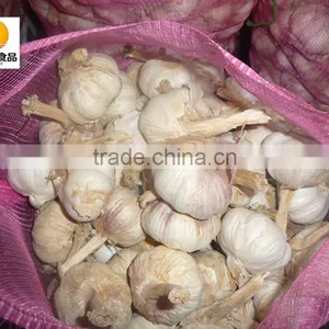 Hot Sale Dried White Garlic Supplier thumbnail-3