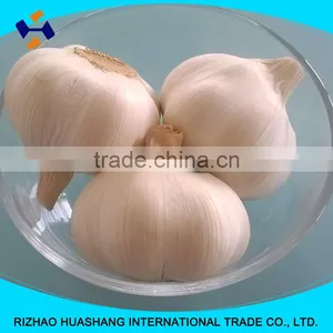High Quality Pure White Fresh Garlic Size4.0cm thumbnail-4