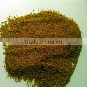 Animal Feed Corn thumbnail-1