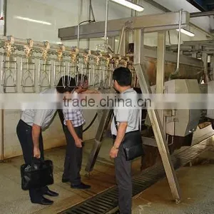 Hot Selling Portable Chicken Broiler Slaughter Line Dressing Line House 008618052092685 thumbnail-1