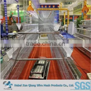 Layer Chicken Cage/Hen Coop White Bird Cage/cage for Chickens thumbnail-2