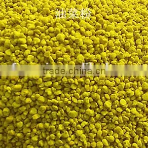 Pure Rape Flower Bee Pollen Factory Price thumbnail-2