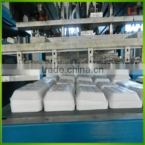 Fully Automatic Machine to Make Food Containers With Robot thumbnail-3