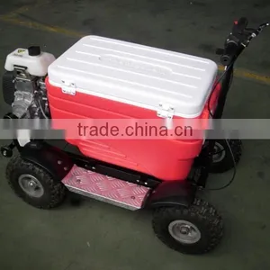 4 Wheels Cooler Scooter Sx-g110 thumbnail-3