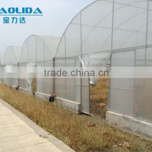 Cheap Easy Multi-span Greenhouse pe Film Green House thumbnail-3