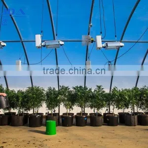 BaoLiDa Multi-span Poly Carbonate PC Agriculture Commercial Greenhouse thumbnail-3