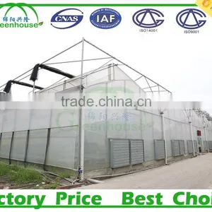 High Quality Auto Blackout Multi Span Greenhouse for Sale thumbnail-5
