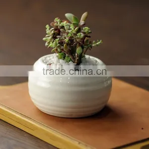 New Design Indoor Glazed White Mini Ceramic Planter thumbnail-1