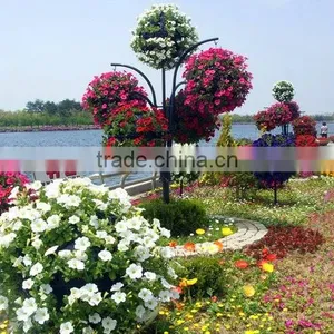 Plastic Hanging Ball Planters thumbnail-1