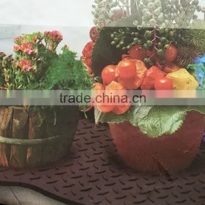 Plastic Shoe Tray/boot Tray thumbnail-4