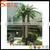 Hot Sale Plastic Cheap Artificial Date Palm Trees and Outdoor&Indoor Fake Palm Trees Prices thumbnail-2