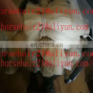 HORSE Tail Hair for Brush thumbnail-2