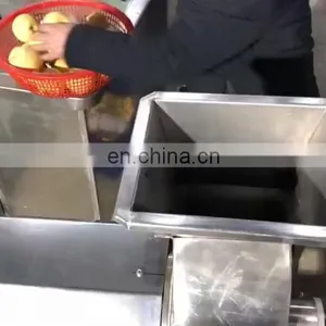 Industrial Pear Juice Screw Extractor/spiral Fruit Juicer/fruit Juice Extractor thumbnail-1