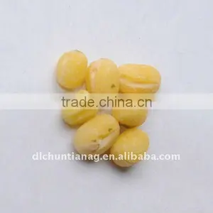 Super Organic Yellow Mung Bean thumbnail-1