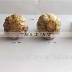 Wholesale China Garlic Price thumbnail-1