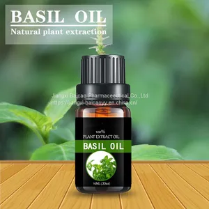 Factory Supply Basil Oil Body Skin Care Basil Essential Oil thumbnail-1