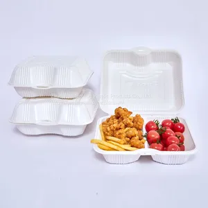 Customize PP Hinged Packaging Tray Clamshell Blister Food Container Togo 2 Compartment Fast Food Lunch Food Box thumbnail-1