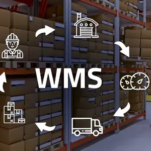 Order Processing System Automatic Intelligent Warehouse Software thumbnail-2