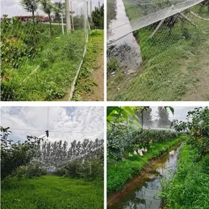 White Color Twisted Anti Bird Proof Netting thumbnail-5