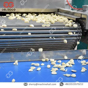 Automatic Garlic Sauce Production Line Ginger Garlic Paste Making Machine Price thumbnail-4