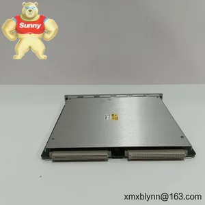 Bently Nevada 3500/20-01-01-00 Rack Interface Module — Framework Communications for the 3500 Protection System thumbnail-1