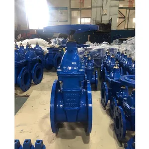 Manual Handwheel BS Rising Stem Gate Valve for Fire Protection System thumbnail-4