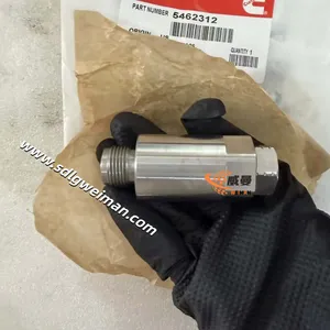 Pressure Relief Valve 5462312 for Cummins Engine Parts thumbnail-5
