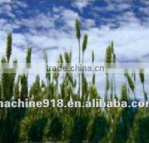Hot Sale Barley Harvest Machine thumbnail-1