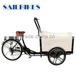 Morden Electric Cargo Trike for Family thumbnail-1