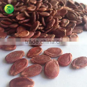 Chinese Seedless Watermelon Seed thumbnail-1