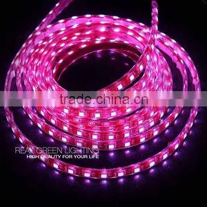 Lovely Color! Pink 12V/24V 5050 SMD Waterproof Outdoor Use LED Flexible Strip Light thumbnail-1
