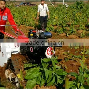 Farming Machinery Remove Stalk Shredder Sunflower/ Corn Stalk Crusher thumbnail-2