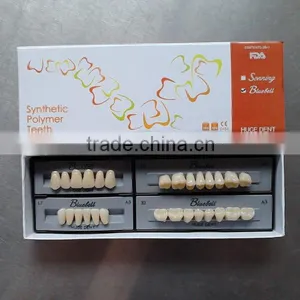 2015 Hot Sale Synthetic Polymer Teeth thumbnail-2