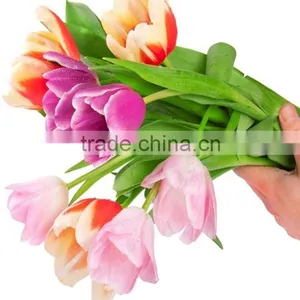 2016 High Quality Tulips, Fresh Cut Tulips Same Quality Like Holland From China thumbnail-4