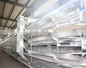 Henan Silver Star Poultry Equipment Co., Ltd. company overview - view 1 thumbnail