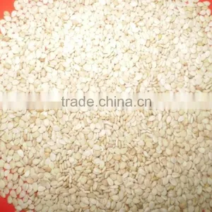Sesame Seed Huskless thumbnail-1