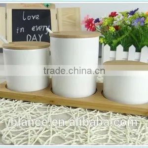 Ceramic Spice Jars Set White Salt and Pepper and Sugar Pots thumbnail-2