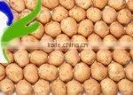 Fresh Holland Potato thumbnail-1